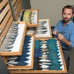 MS&E Seminar: Professor John McCormack