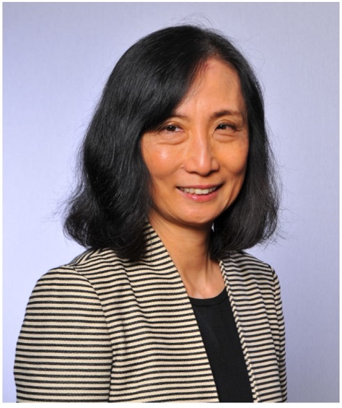 MS&E Seminar: Professor Lin X. Chen