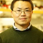 MS&E Seminar: Professor Yadong Yin