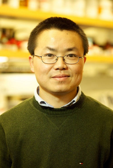 MS&E Seminar: Professor Yadong Yin